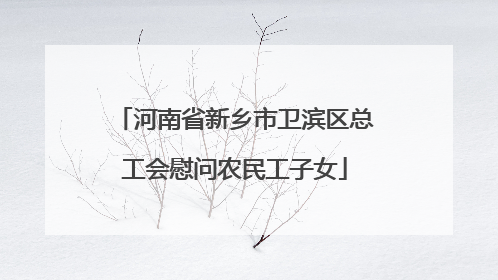 河南省新乡市卫滨区总工会慰问农民工子女