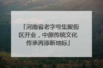 河南省老字号集聚街区开业，中原传统文化传承再添新地标
