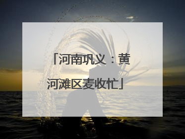 河南巩义：黄河滩区麦收忙