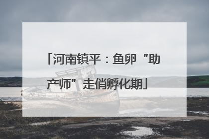 河南镇平：鱼卵“助产师”走俏孵化期