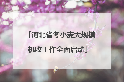 河北省冬小麦大规模机收工作全面启动