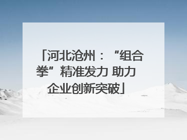 河北沧州：“组合拳”精准发力 助力企业创新突破