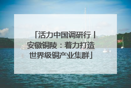 活力中国调研行丨安徽铜陵：着力打造世界级铜产业集群