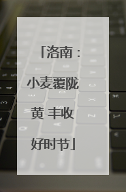 洛南：小麦覆陇黄 丰收好时节