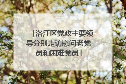 洛江区党政主要领导分别走访慰问老党员和困难党员