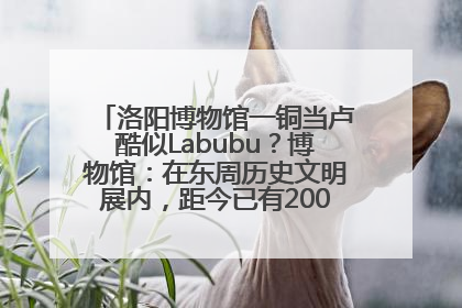 洛阳博物馆一铜当卢酷似Labubu？博物馆：在东周历史文明展内，距今已有2000多年历史