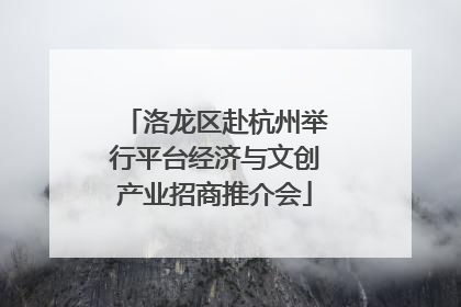 洛龙区赴杭州举行平台经济与文创产业招商推介会