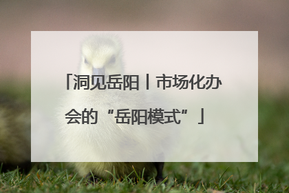 洞见岳阳丨市场化办会的“岳阳模式”