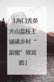 海口秀英火山荔枝王铺就乡村“甜蜜”致富路