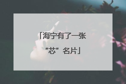 海宁有了一张“芯”名片