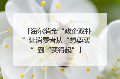 海尔消金“政企双补”让消费者从“想要买”到“买得起”