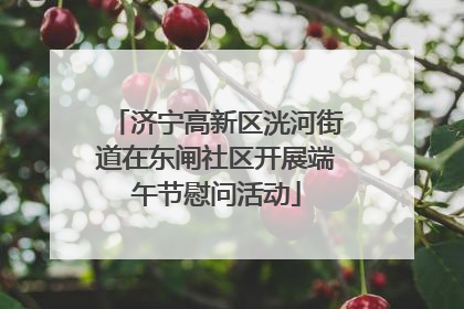 济宁高新区洸河街道在东闸社区开展端午节慰问活动