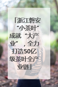 浙江磐安“小茶叶”成就“大产业”，全力打造50亿级茶叶全产业链