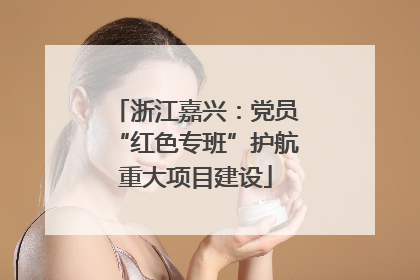 浙江嘉兴：党员“红色专班”护航重大项目建设