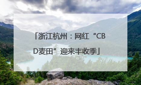 浙江杭州：网红“CBD麦田”迎来丰收季