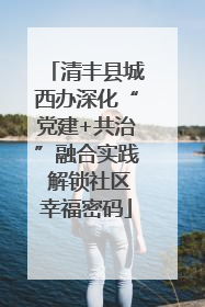 清丰县城西办深化“党建+共治”融合实践 解锁社区幸福密码