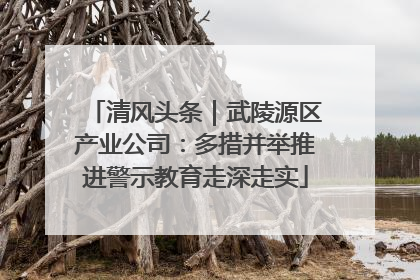 清风头条｜武陵源区产业公司：多措并举推进警示教育走深走实