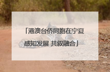 港澳台侨同胞在宁夏感知发展 共叙融合