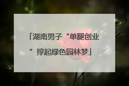 湖南男子“单腿创业”撑起绿色园林梦