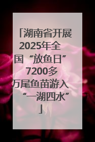 湖南省开展2025年全国“放鱼日” 7200多万尾鱼苗游入“一湖四水”