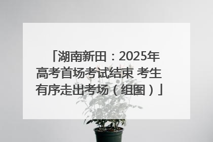 湖南新田：2025年高考首场考试结束 考生有序走出考场（组图）