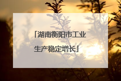 湖南衡阳市工业生产稳定增长