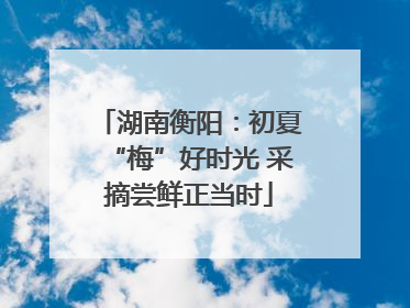 湖南衡阳：初夏“梅”好时光 采摘尝鲜正当时