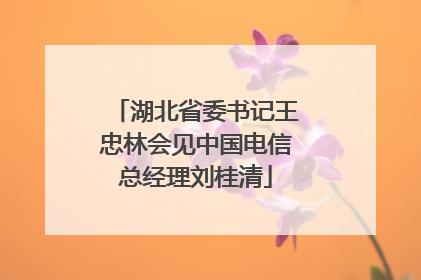 湖北省委书记王忠林会见中国电信总经理刘桂清