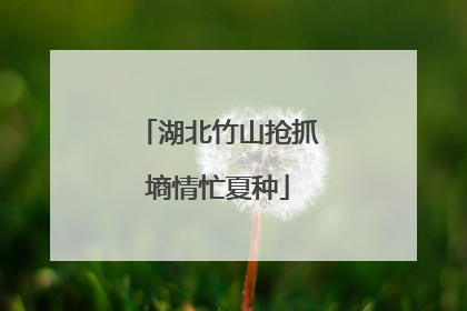 湖北竹山抢抓墒情忙夏种