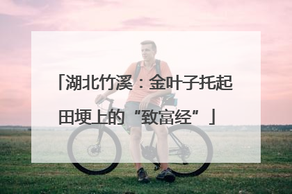 湖北竹溪：金叶子托起田埂上的“致富经”