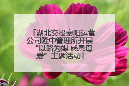 湖北交投襄阳运营公司隆中管理所开展“以路为媒 感恩母爱”主题活动