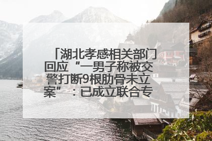 湖北孝感相关部门回应“一男子称被交警打断9根肋骨未立案”：已成立联合专班开展工作