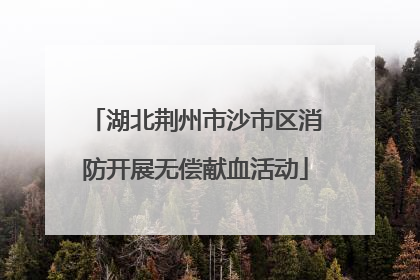 湖北荆州市沙市区消防开展无偿献血活动