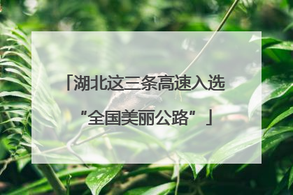 湖北这三条高速入选“全国美丽公路”