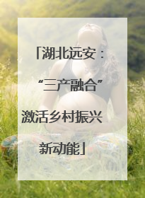湖北远安：“三产融合”激活乡村振兴新动能