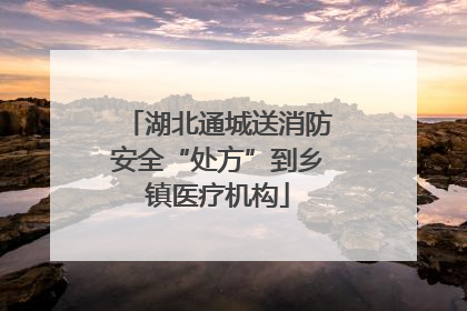 湖北通城送消防安全“处方”到乡镇医疗机构