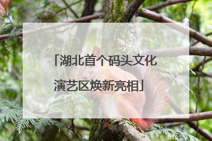湖北首个码头文化演艺区焕新亮相