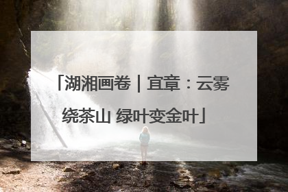 湖湘画卷｜宜章：云雾绕茶山 绿叶变金叶