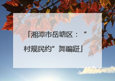 湘潭市岳塘区：“村规民约”舞蹁跹
