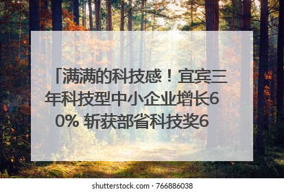 满满的科技感！宜宾三年科技型中小企业增长60% 斩获部省科技奖6项｜您牵挂的四川