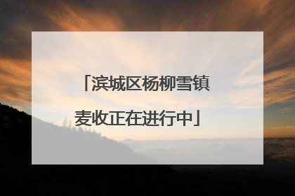 滨城区杨柳雪镇麦收正在进行中