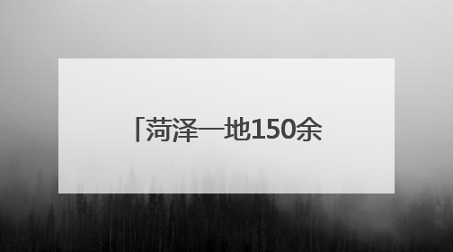 菏泽一地150余亩百合花海上线