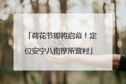 荷花节即将启幕！定位安宁八街摩所营村