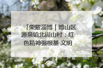 荣耀淄博｜博山区源泉镇北崮山村：红色精神强根基 文明新风润山乡
