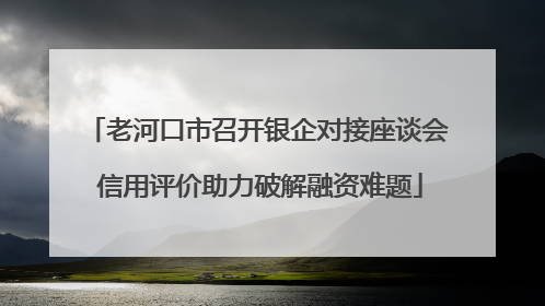 老河口市召开银企对接座谈会 信用评价助力破解融资难题