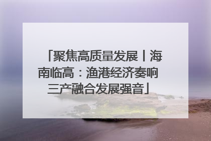 聚焦高质量发展丨海南临高：渔港经济奏响三产融合发展强音