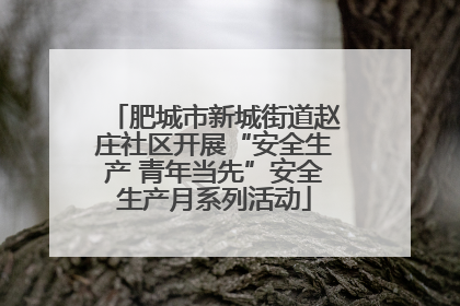 肥城市新城街道赵庄社区开展“安全生产 青年当先”安全生产月系列活动