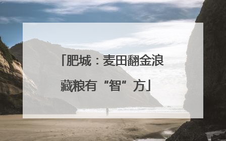 肥城：麦田翻金浪藏粮有“智”方