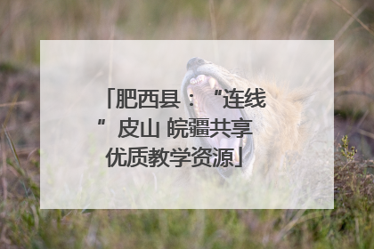 肥西县：“连线”皮山 皖疆共享优质教学资源