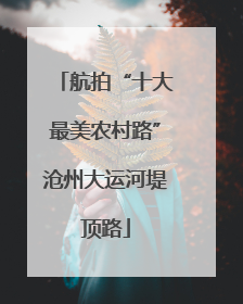 航拍“十大最美农村路”沧州大运河堤顶路